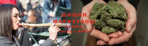 сатива Лагань