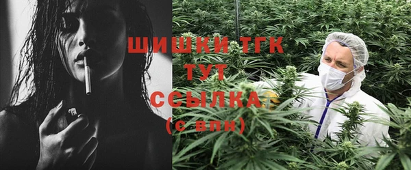 не бодяженный Ладушкин