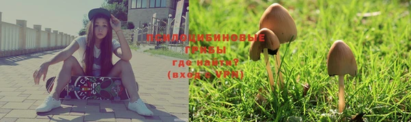 не бодяженный Ладушкин