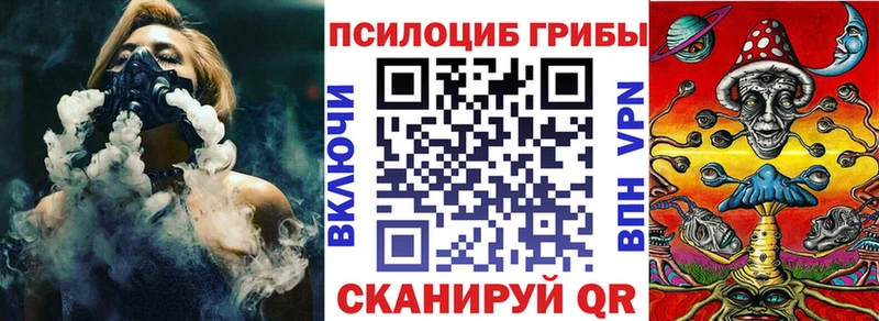 Псилоцибиновые грибы прущие грибы  Чаплыгин 